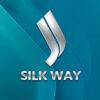 Казахстанский телеканал Silk Way Prime («Шёлковый путь») получил универсальную вещательную лицензию в России